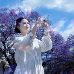 宋记冕宁土菜馆(海滨北路店) User Photo