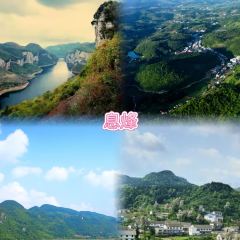 黃南武陽朗辣子雞張用戶圖片