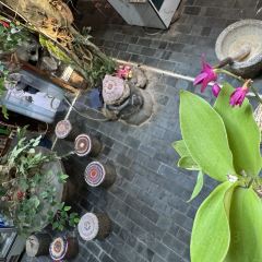 合院餐厅地主家 User Photo