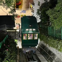 七秒鱼 User Photo