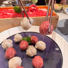 鼎尚养生火锅店 User Photo