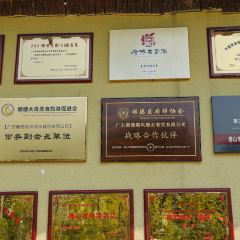 寻味顺德·顺风顺水(伦教店) User Photo