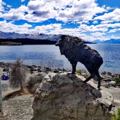 Mount Cook Alpine Salmon User Photo