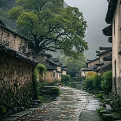 江南小鎮(華潤小徑灣店)張用戶圖片