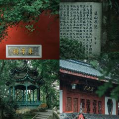 万寿桥·煎包(安泰店) User Photo