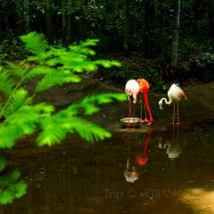 竹香居賓館張用戶圖片
