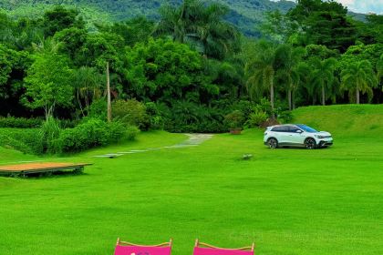 dirty duck Restaurant