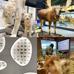 桂花香苑·新创闽菜·宴请(三坊七巷店) User Photo