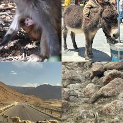 Meiweirouhuimi Restaurant User Photo