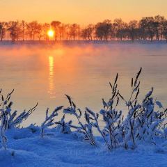 金达莱冷面馆 User Photo