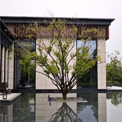 蘇州四季飯店·瓏廊張用戶圖片