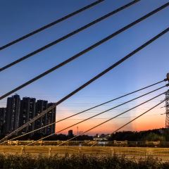 Seeing Tea User Photo