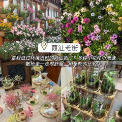 邢记炸鸡店 User Photo