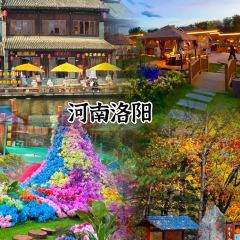 潁陽水席張用戶圖片