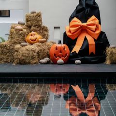 水厄底人家·遇龙河漂流(水厄底码头店) User Photo