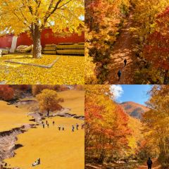 Mr chai Noodle User Photo