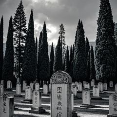 Cun Da Guan User Photo