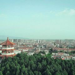 範記米線張用戶圖片