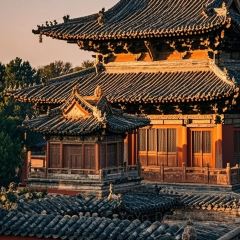 Mr chai Noodle User Photo