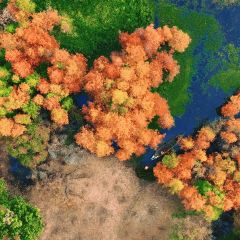 明记烧肉米线烧肉卷粉(中心小学店) User Photo