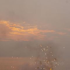 紫薇冷饮(桐乡店) User Photo