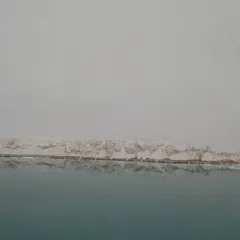 CHANGLUOHOU·BEEF PATTY WITH ALLIUM MONGOLICUM User Photo