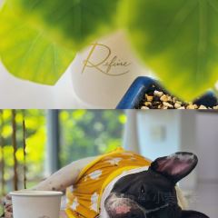 Refine Coffee Roaster User Photo