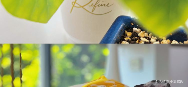 Refine Coffee Roaster