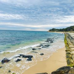 Portsea Hotel Bistro張用戶圖片