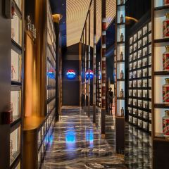 问山海 User Photo