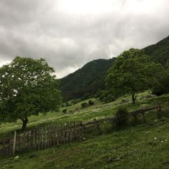 Trattoria Svaneti User Photo