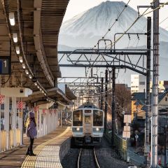Fujiyama Cookie User Photo