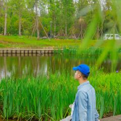 DONG PO SHAN ZHUANG TIAN YUAN SHENG TAI HUO GUO User Photo