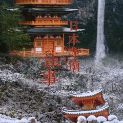 Kamagatakitakichaya User Photo