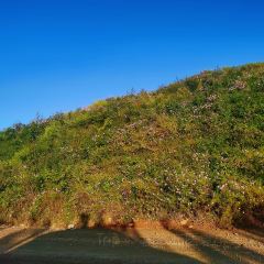 云南人家(大屯店) User Photo