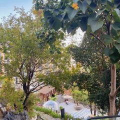 阿浪山庄 User Photo