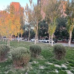 Wuhouyangguang User Photo