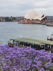 Eastern Pontoon Circular Quay