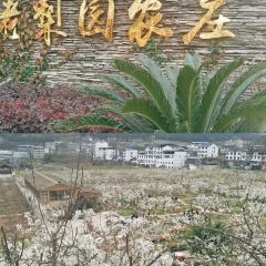 老梨园农庄 여행 사진