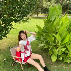 时令花开-皂角原宴园餐厅 User Photo