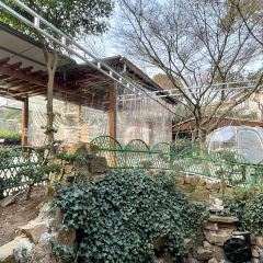 清风小院(三峰街店) User Photo