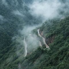 Jiaotandashuxiayutouguan User Photo