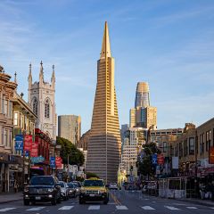 Sotto Mare User Photo