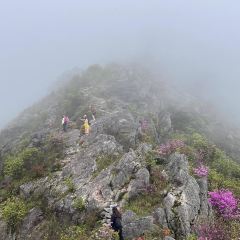 狮子口(河洑店) User Photo