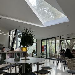 青芷森林·咖啡店 User Photo