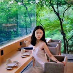 SHINKAI 여행 사진