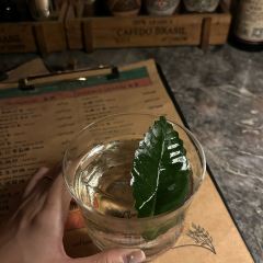 Hummingbird 여행 사진