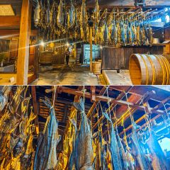 Kikkawa張用戶圖片