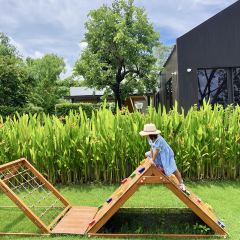 Something Journey ซัมติง เจอร์นี่ User Photo