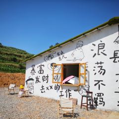 在发呆·lan's浪肆咖啡庄园 User Photo